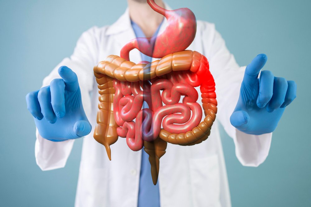 Gastroenterology and GI