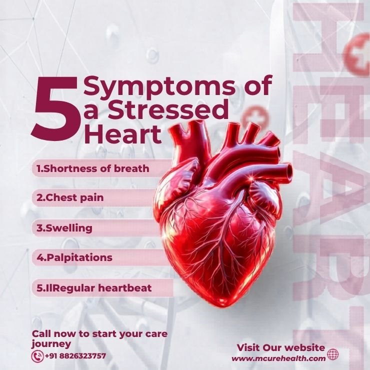 5 Symptoms of a Stressed Heart – A Complete Guide by Mcure Health
