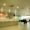 Birla Fertility and IVF